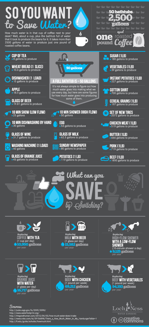 Infographic - So you want to save water