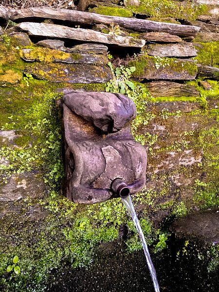 Kumati dhara in Uttarakhand (Image: Aditi Sajwan, Water Practitioners Network)