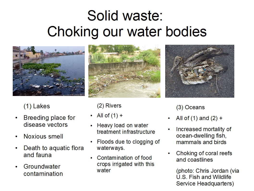 The impact of solid waste on our water bodies