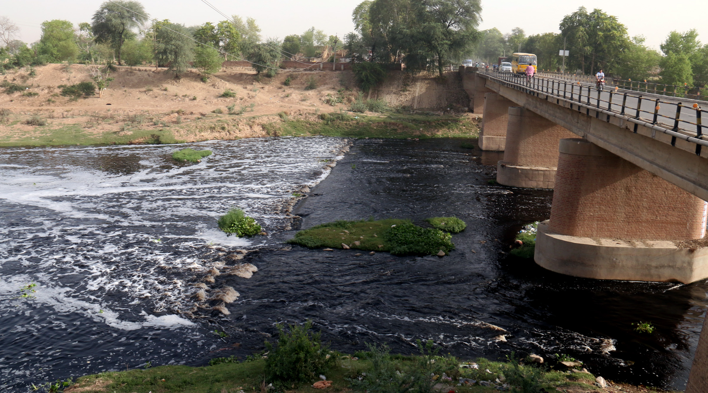 Ghaggar river that has turned into a toxic drain. (Source: 101Reporters)