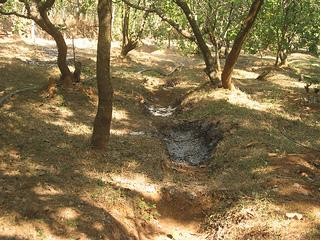 Trenches dug at AR farms, Kundapur, Mangalore