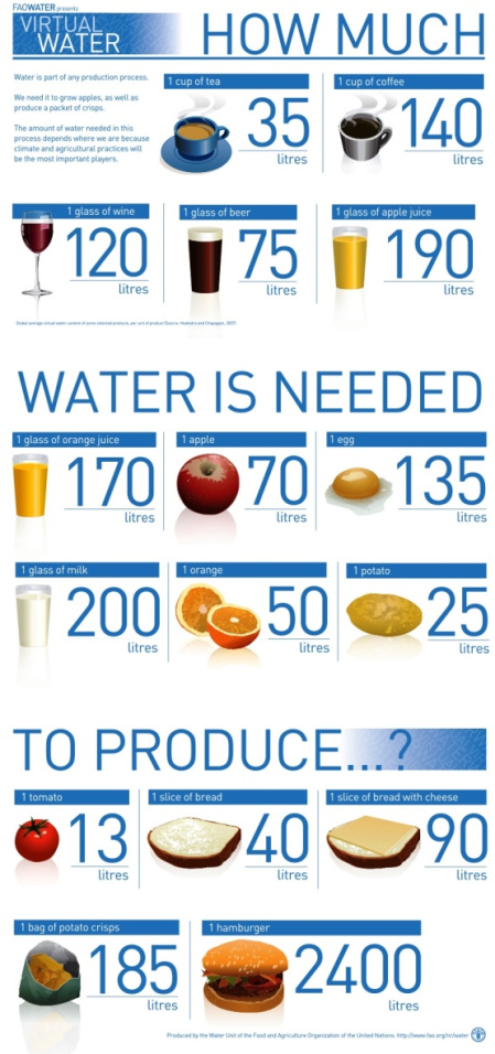 Water needed to produce these items (Image Source: FAO)