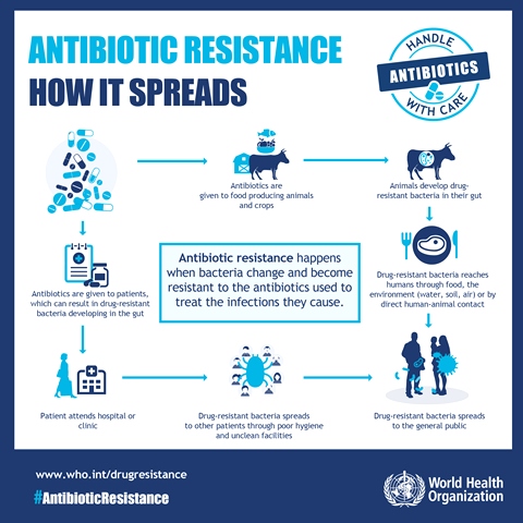 Spread of antibiotic resistance (Source: World Health Organisation)