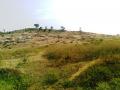 Rugged, rocky terrain of Bundelkhand, Madhya Pradesh (Image: Shweta Prajapati)