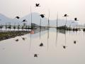 Deepor beel, Assam (Image Source: IWP Flickr photos)