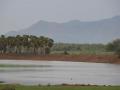 The dying tanks of Madurai (Image Source: Seetha Goplalakrishnan)