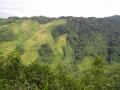 Jhum cultivation in Nokrek biosphere reserve, Meghalaya (Image: Wikimedia Commons, CC BY 2.0)