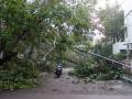 Fallen lampost and trees lay sprawled across the road after a cyclone (Image Source: IWP Flickr Photos)