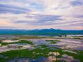 Deepor Beel sits in the heart of the Indian city of Guwahati (Image: Hirakjyoti Bayan CC BY-SA 4.0)