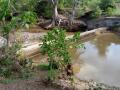 River flow improved at Jarur since soil and moisture conservation measures along the catchment area were prioritised (Image: FES)