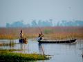 Ramsar Site: Kabartal Wetland (Site no. 2436) - Kabartal Wetland, also known as Kanwar Jheel, covers 2,620 hectares of the Indo-Gangetic plains in the northern Bihar State. The Site is one of 18 wetlands within an extensive floodplain complex; it floods during the monsoon season to a depth of 1.5 metres.  (Image: Credit: Wetlands International South Asia, 2015)