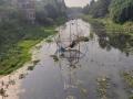 Illegal transverse check dams (Badhals) built on Ichamati near a village in Basirhat (Image: Prithviraj Nath @ TheWaterChronicles)