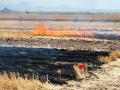 A controlled burn on long-term conservation agriculture trials (Image: CIMMYT)