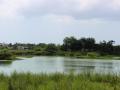 Natural spaces such as water bodies and vegetation in cities can act as sponges and absorb rain and prevent flooding (Image Source: IWP Flicker photos)