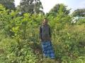 The motivated young farmer proudly showed his 80 guava trees that he planted for the first time in the village and made a profit of INR 6,000. He is the second generation. His-father made the first attempt at agroforestry in 2010. He is motivated to adopt innovative practices and does not want to migrate to a larger city. (Image: Yasmeen Telwala)