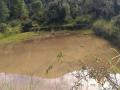 मसाही गांव ( हरिद्वार) के भूमिगत जल एवं तालाब की गुणवत्ता का मूल्यांकन,PC-amuj