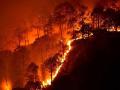 Forest fires ignited by natural causes, but major contribution of human action cannot be denied (Image: Naveen N K, Wikimedia Commons)