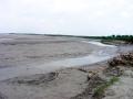 Silt deposition at Kosi embankment at Navbhata near SaharsaBihar, India, in the Kosi River Basin (Image Source: CC BY 3.0 via Wikipedia)