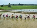 फसल विविधीकरण से किसान की बढ़ी आमदनी,PC-भारतवर्ष