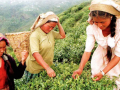 कृषि क्षेत्र में बढ़ती महिला उद्यमी, फोटो क्रेडिट: कुरुक्षेत्र
