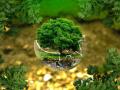 India has rigorous environmental, social, and governance (ESG) disclosure norms (Image: WallpaperFlare)