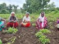 Women from the Mahila Gram Sangh (Image: FES)