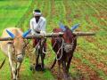 कृषि प्रधान देश में बेरोज़गार किसान