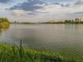 Jakkur lake in Bengaluru (Image Source: Mike Prince via Wikimedia Commons)