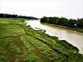 River in India (Image: Rishav Saha, Wikimedia Commons, CC BY-SA 4.0 DEED)