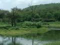 Wetlands, treasure troves of biodiversity (Image Source: Aarti Kelkar Khambete)