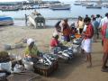 Fisherwomen selling fish in the markets (Image Source: India Water Portal Flickr photos)