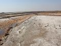 The little Rann of Kutch (Image Source: Nagarjun Kandukuru via Wikimedia Commons)