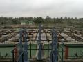 A sewage treatment plant at Bangalore, Jakkur for managing urban water sustainably. Image for representation purposes only. (Image Source: IWP Flickr photos)