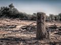 Global warming may increase the intensity and frequency of droughts in many areas (Image: Maher Najm; Flickr PDM 1.0 DEED)