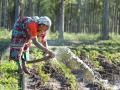 A farmer uses a hosepipe to irrigate crops at her farm in the Nilgiris mountains, Tamil Nadu (Image: IWMI Flickr Photos; CC BY-NC-ND 2.0 DEED)