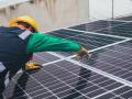 Jobs for a greener tomorrow (Image: Los Muertos Crew; Pexels)