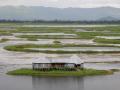 A home on Loktak lake in Moirang, Manipur (Image: Sharada Prasad CS, Wikipedia Commons)