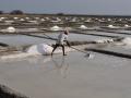 Salt pans of Marakkanam (Image Source: Wikimedia Commons)