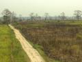 Grassland in the Kaziranga National Park in Assam (Image Source: Debabrata Phukon via Wikimedia Commons)