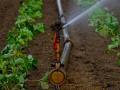 Enhancing efficiency through sprinkler irrigation (Image: Rawpixel; CC0 License)