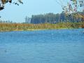 The Asan wetland in Dehradun, Uttarakhand (Image Source: Ashish Gaur via Wikimedia Commons)