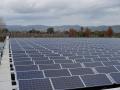 Floating solar. Far Niente vineyard in Napa Valley, California. Image for representation purposes only (Image Source: Solarwriter via Wikimedia Commons)