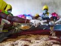 Mixing of ingredients for preparation of ragi mix by women self-help group members (Image: WASSAN) 