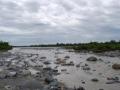 गौला नदी