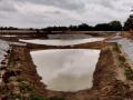 वाबसंद्रा झील: पुनरोद्धार के बाद की तस्वीर