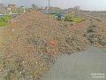 भोपाल के भानपुरा गाँव स्थित कचरे की खेती