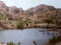 दक्षिण कर्नाटक का एक तालाब