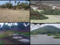 आईएफएस सुधा रमन के प्रयासों से पुनर्जीवित हुई सूखी झील
