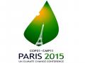 COP 20