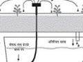 Drip Irrigation